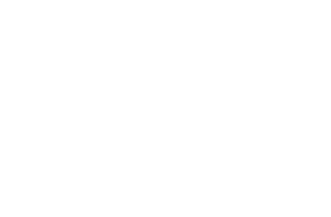 Fsb Member Logo White